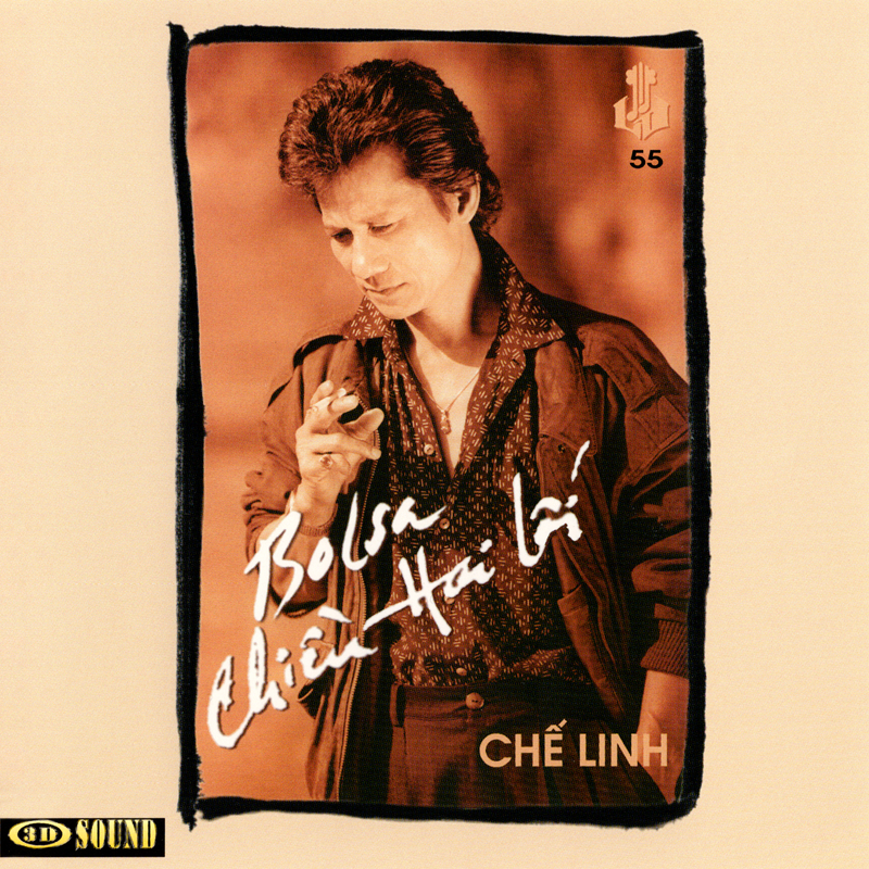 Đĩa cd nhạc vàng chế linh - bolsa chiều hai lối