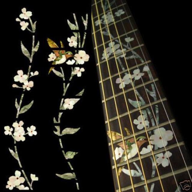 Dán khảm cần đàn guitar hình chim hút mật- Miếng dán lớn MS6