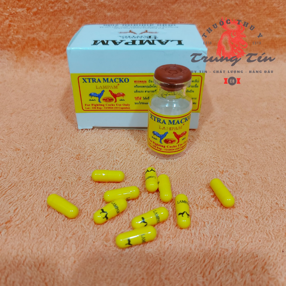 Thuốc gà đá - xtra macko - nhọng vàng - tăng bo nhanh , tăng lực đá , hừng gà , tải cựa