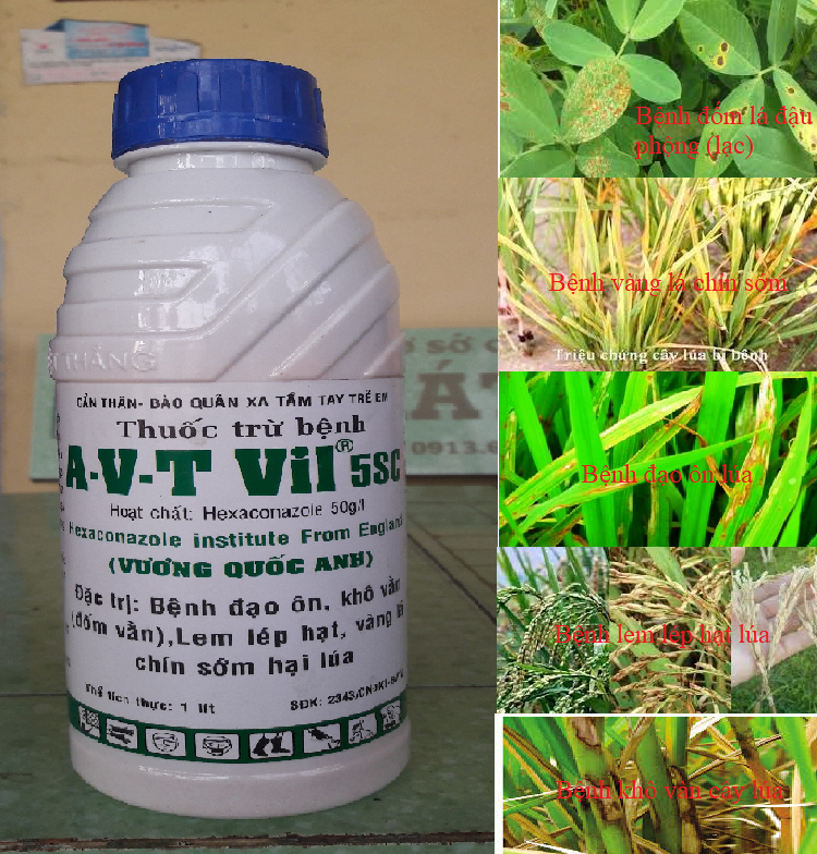 Thuốc trừ bệnh nấm A-V-T Vil 5SC 1 lít