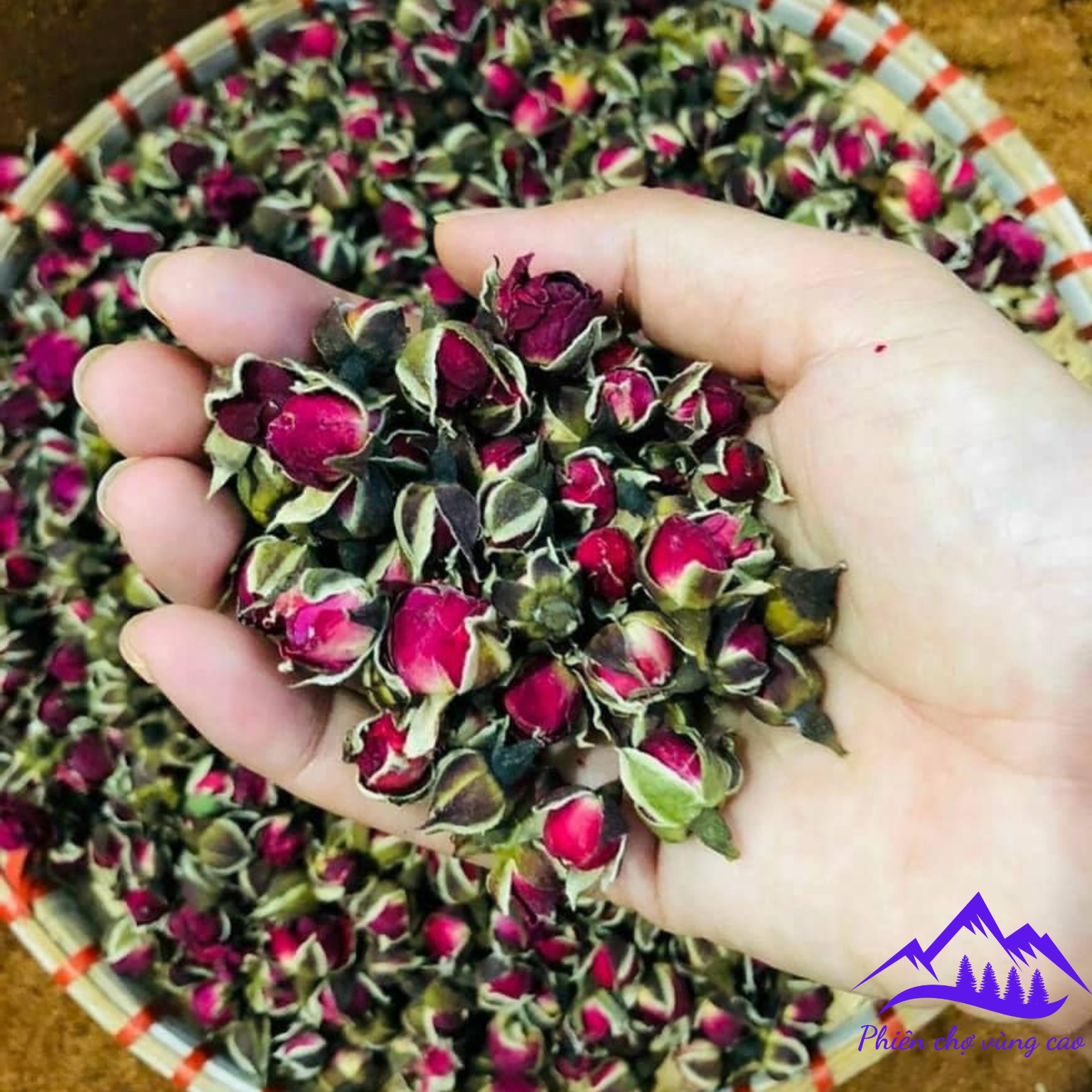 Trà nụ hoa hồng khô Tây Tạng, sấy lạnh thượng hạng giúp đẹp da, ngủ ngon giấc. Nụ hồng khô hữu cơ organic uống trà Đà Lạt