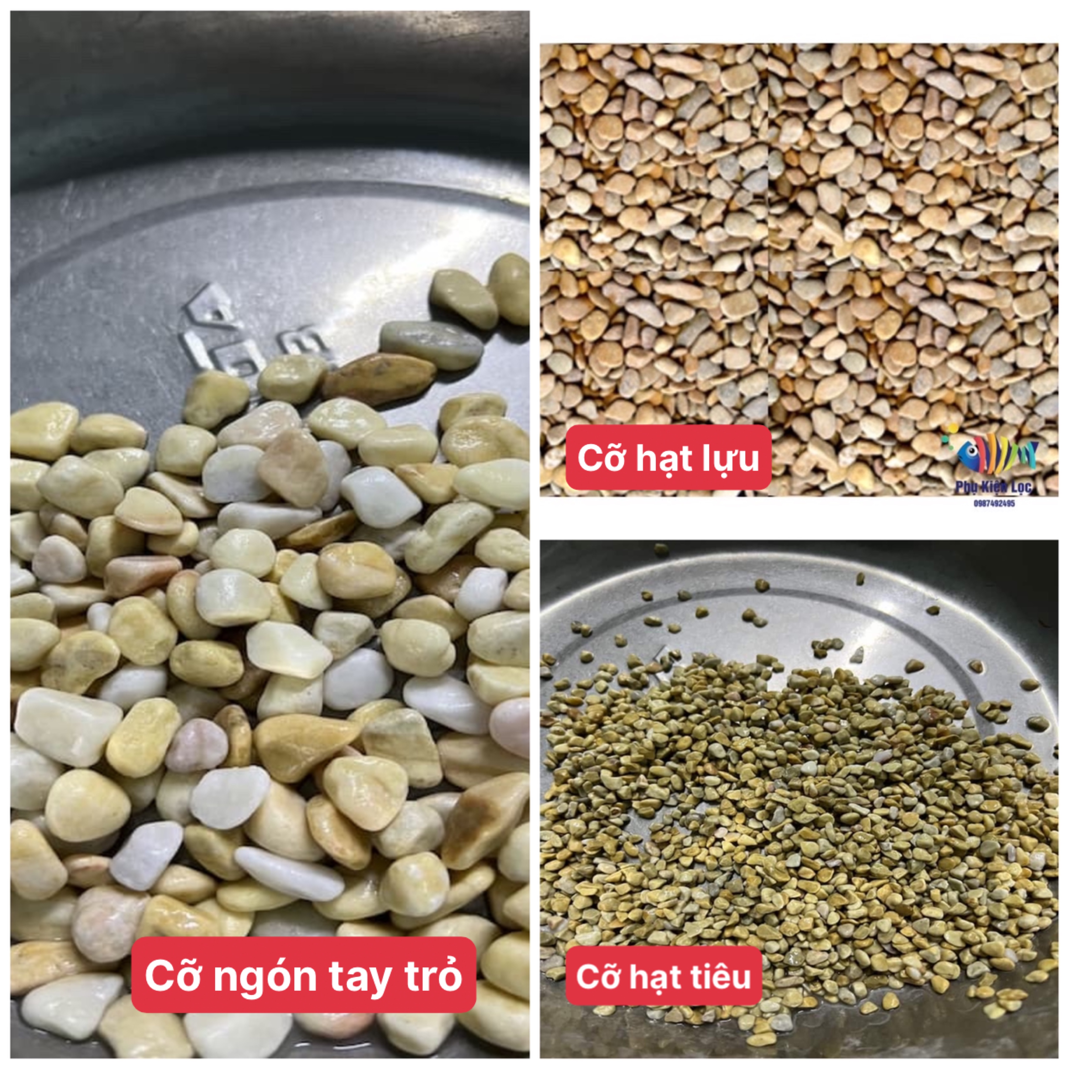 Sỏi vàng vò trang trí bể cá trang trí sân vườn
