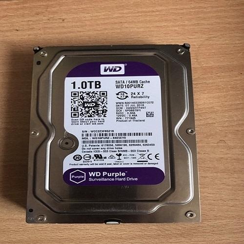 Ổ cứng hdd 1tb wd purple chuyên camera