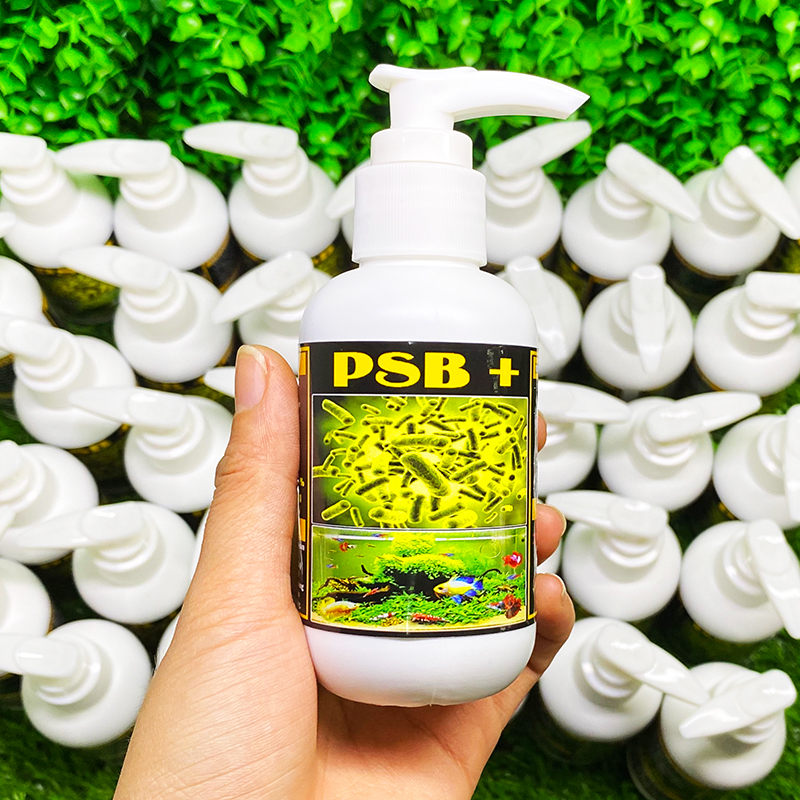 Chai Vi Sinh PSB - Cá 7 màu Betta Hồ Thuỷ Sinh