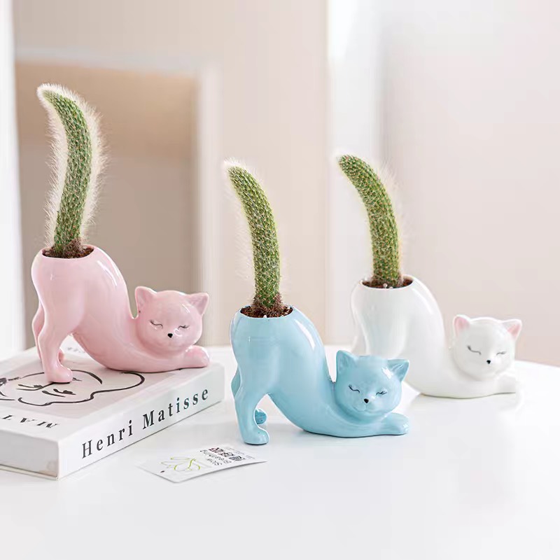 Chậu gốm sứ hình mèo dễ thương