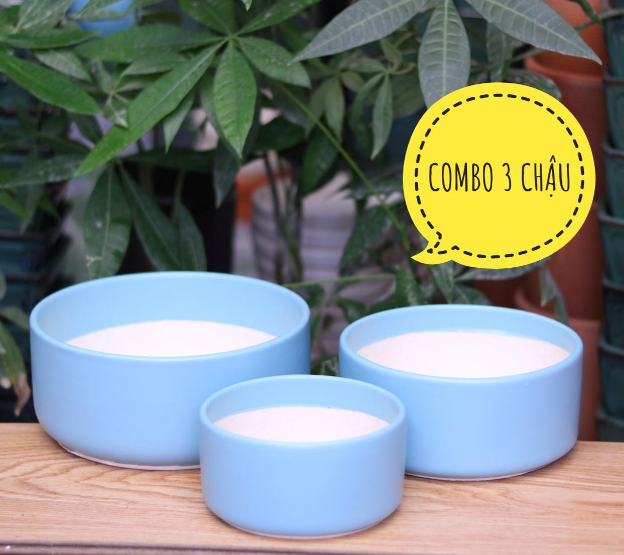 [HCM]COMBO 3 Chậu Sứ Trụ Thấp Trồng Cây Cảnh Để Bàn Sen Đá Xương Rồng Terrarium