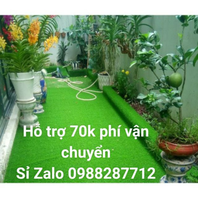 Thảm cỏ nhân tạo 2cm miễn ship mua nhiều