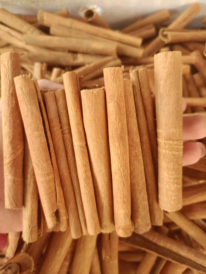 Quế sấy khô túi 500g - my tea shop