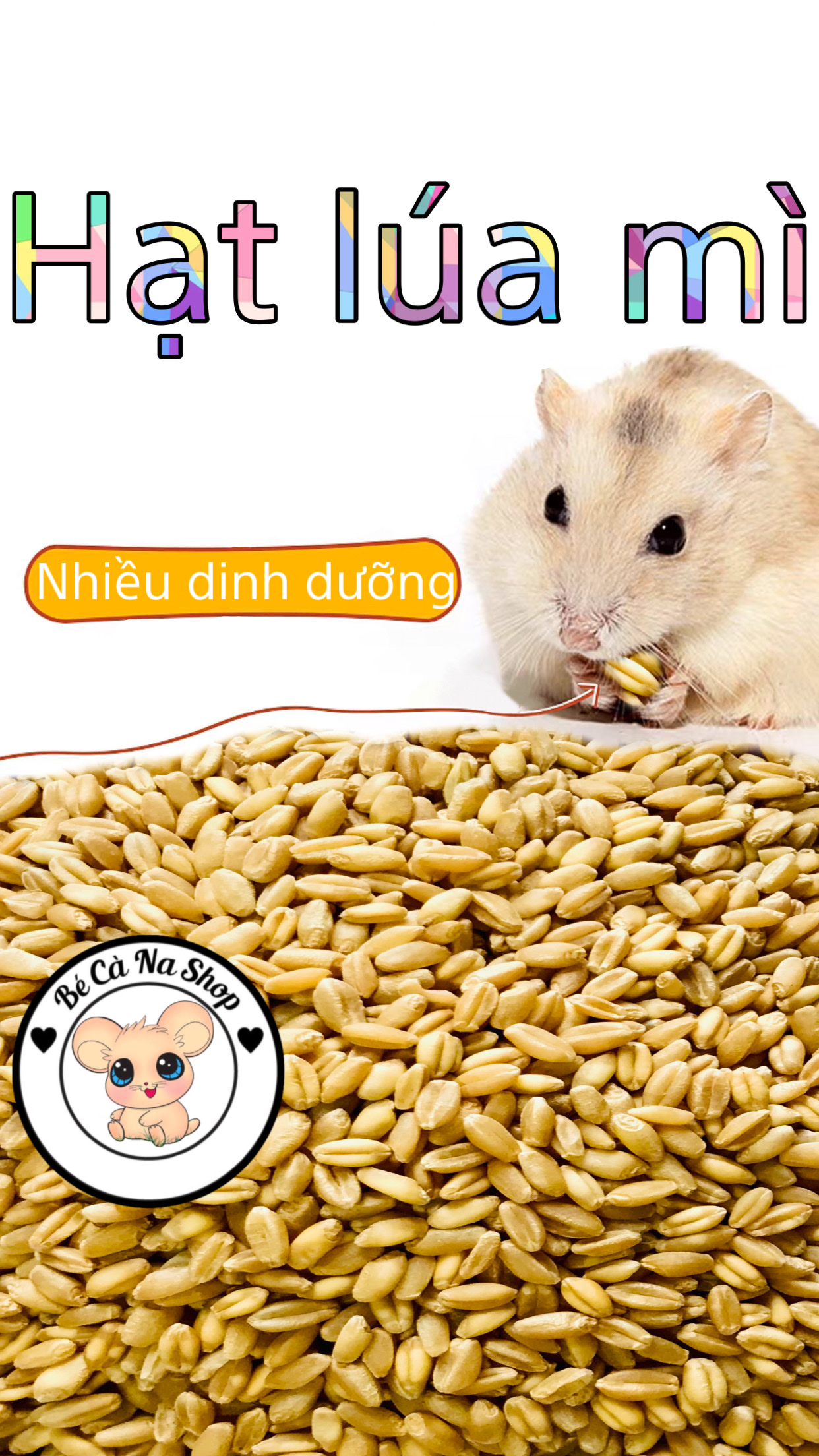 Lúa mì cho hamster thức ăn cho hamster , thỏ bọ sóc chinchilla...