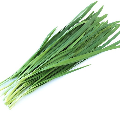 Hạt giống hẹ Nhật Bản cao sản năng suất cao PTP32 | Phởms Market