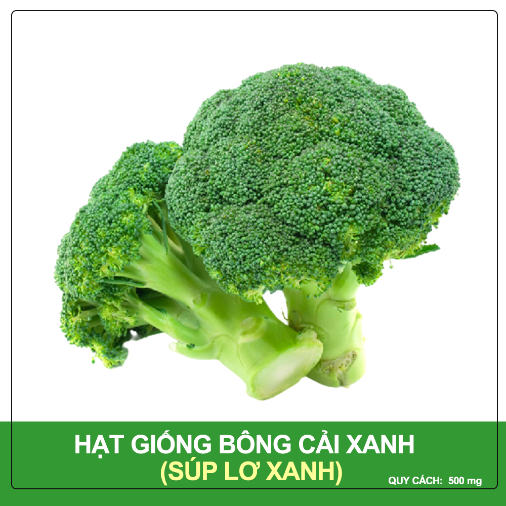 Hạt Giống Bông Cải Xanh Phú Nông Gói 500 mg