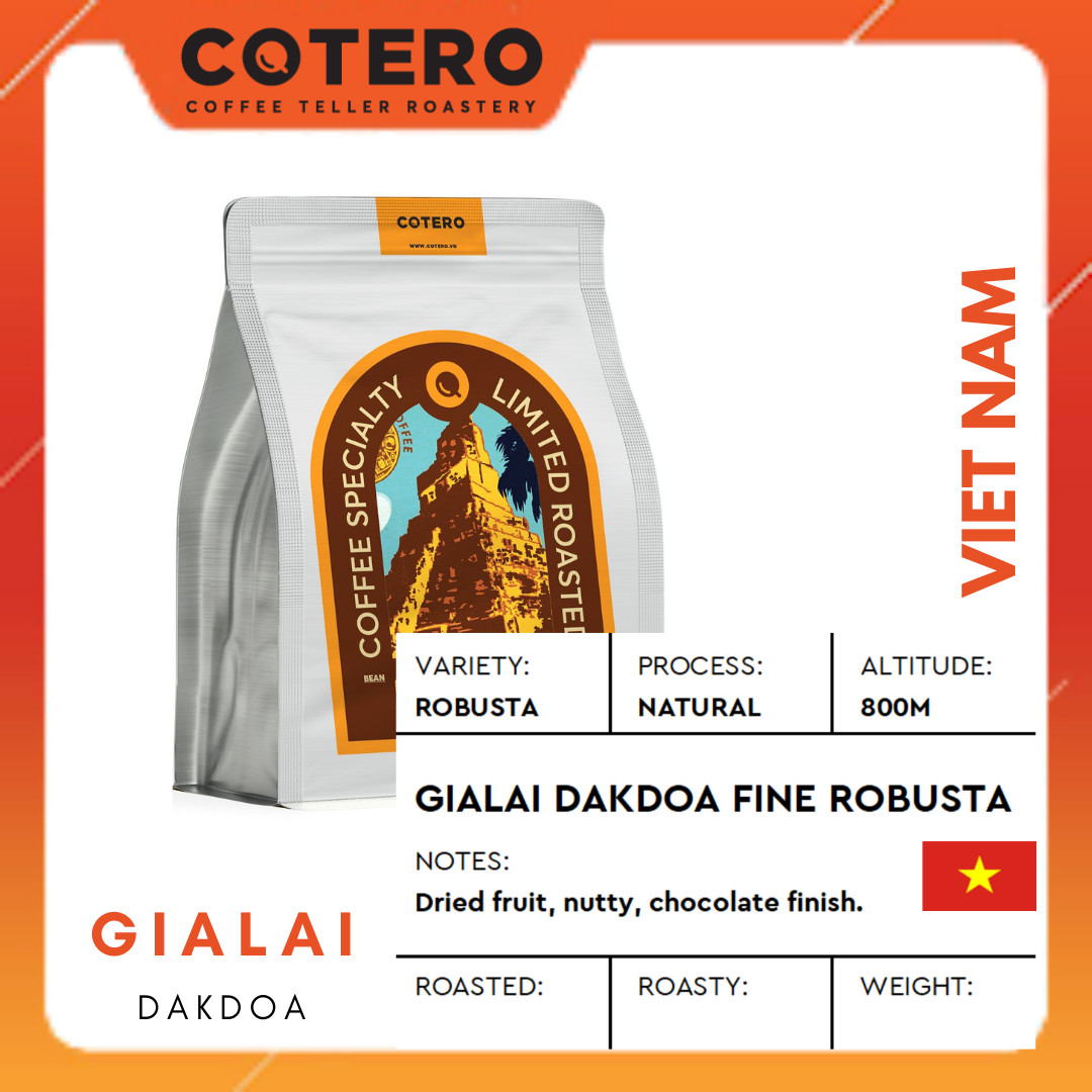 Cà phê hạt robusta viet nam gia lai dak doa natural - cotero coffee, pha phin, drip, coldbrew, espresso