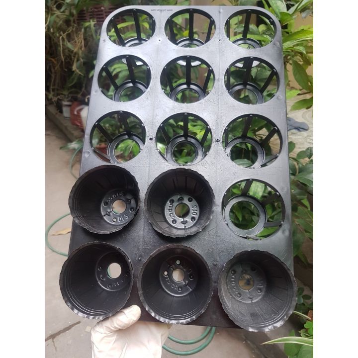 Set 5 khay ươm 15 lỗ kèm chậu 2.5 inch