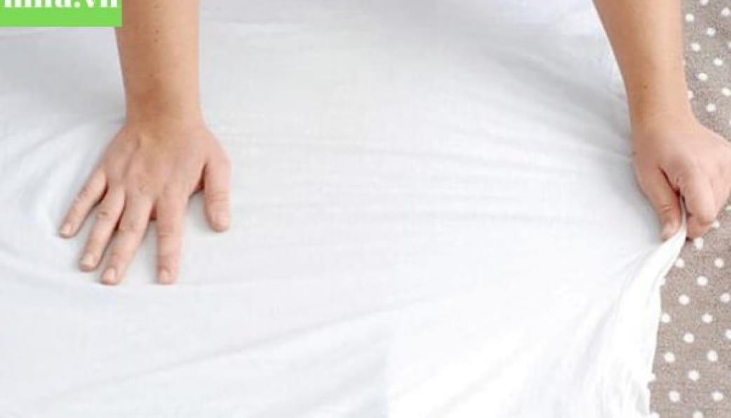 Vải COTTON lạnh trắng co giãn may áo phông, đồ lót, làm phông nền chụp ảnh