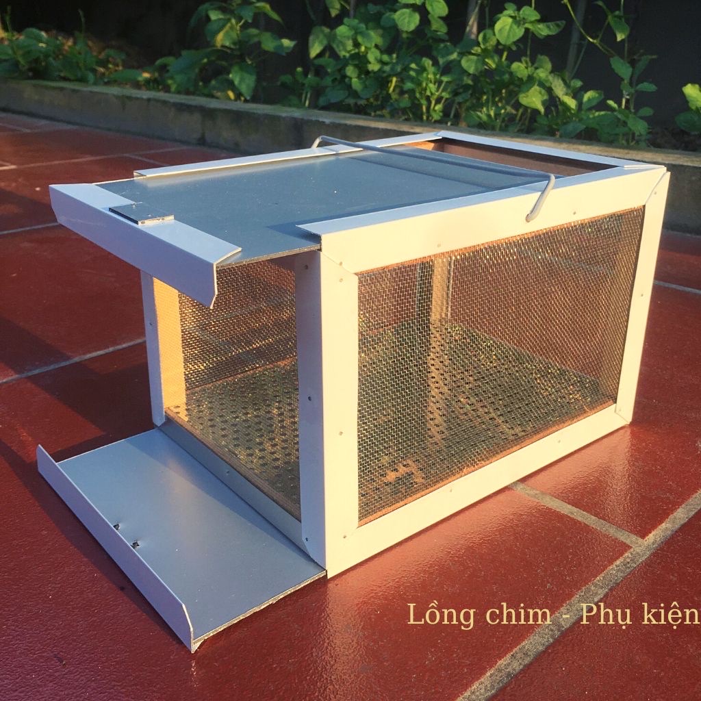 Hộp đựng dế, sâu, cào cào phụ kiện lồng chim. Kích thước 16x23x18,5cm.
