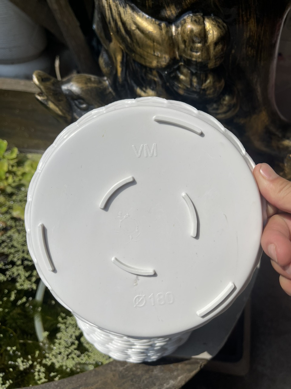 Combo 20 dĩa lót chậu đường kính 24 cm, cao 2,5 cm màu trắng