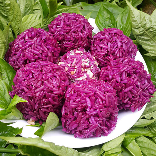 Combo 3 cây lá cẩm tím giống