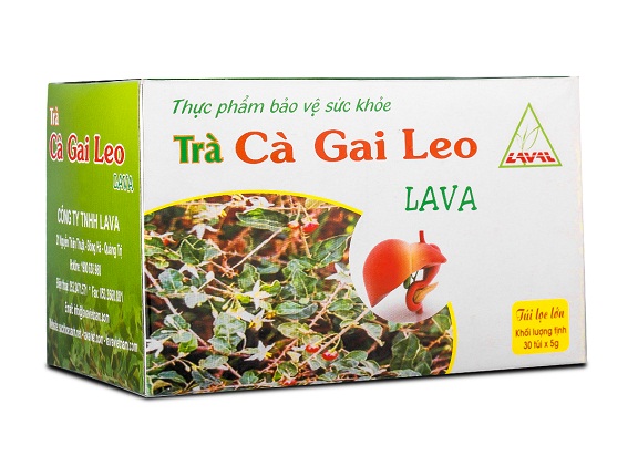 Trà Cà Gai Leo Lava - Hỗ trợ phục hồi chức năng gan, giúp hạ men, bảo vệ gan