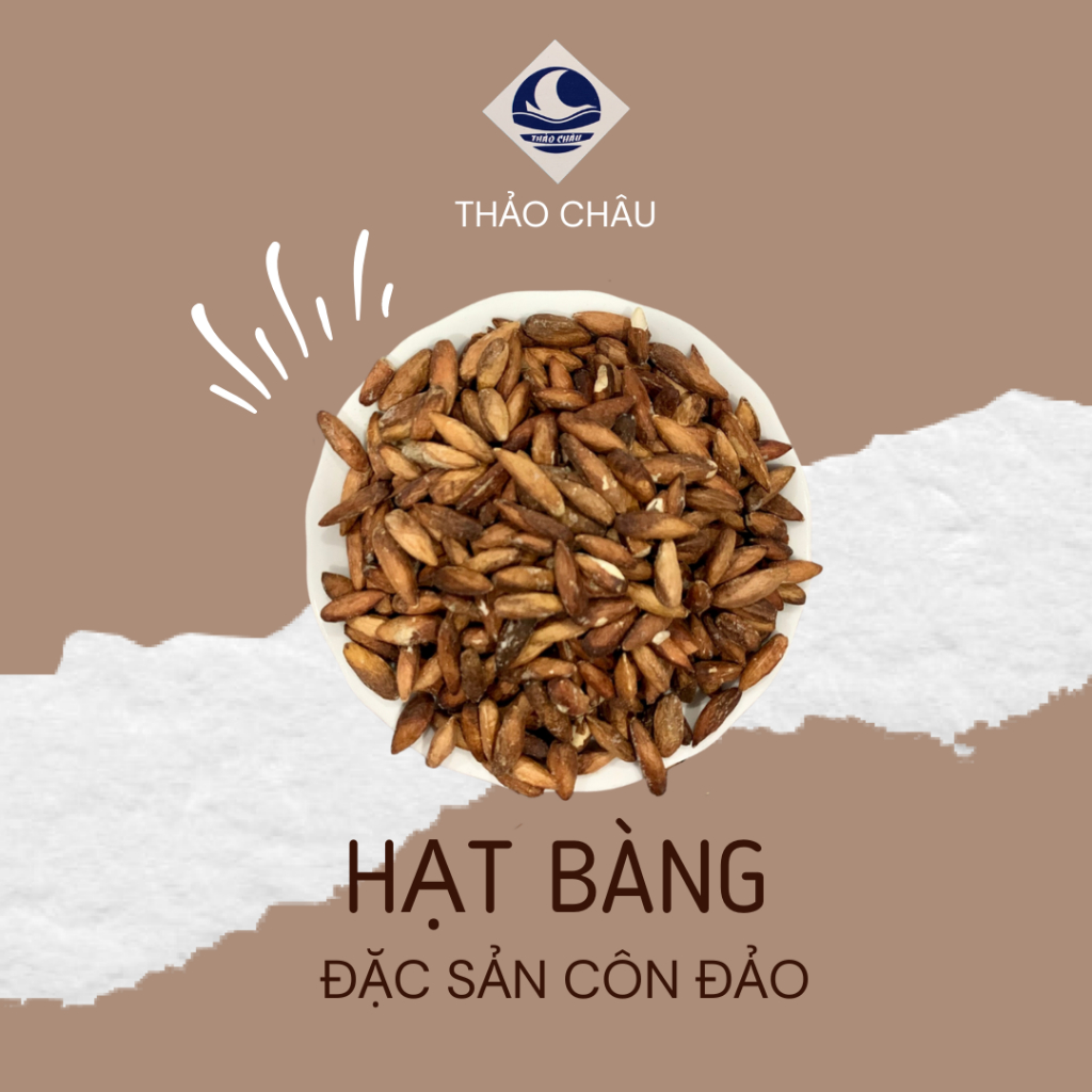 Hạt bàng côn đảo thảo châu, hạt bàng rang muối nguyên chất túi zip 100/ 200/ 500 gram