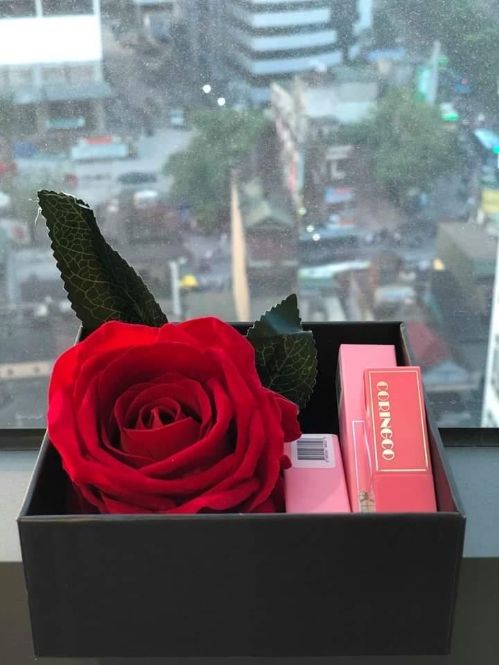 Son Coringco - Son Hàn Quốc chính hãng - Hàng nhập khẩu