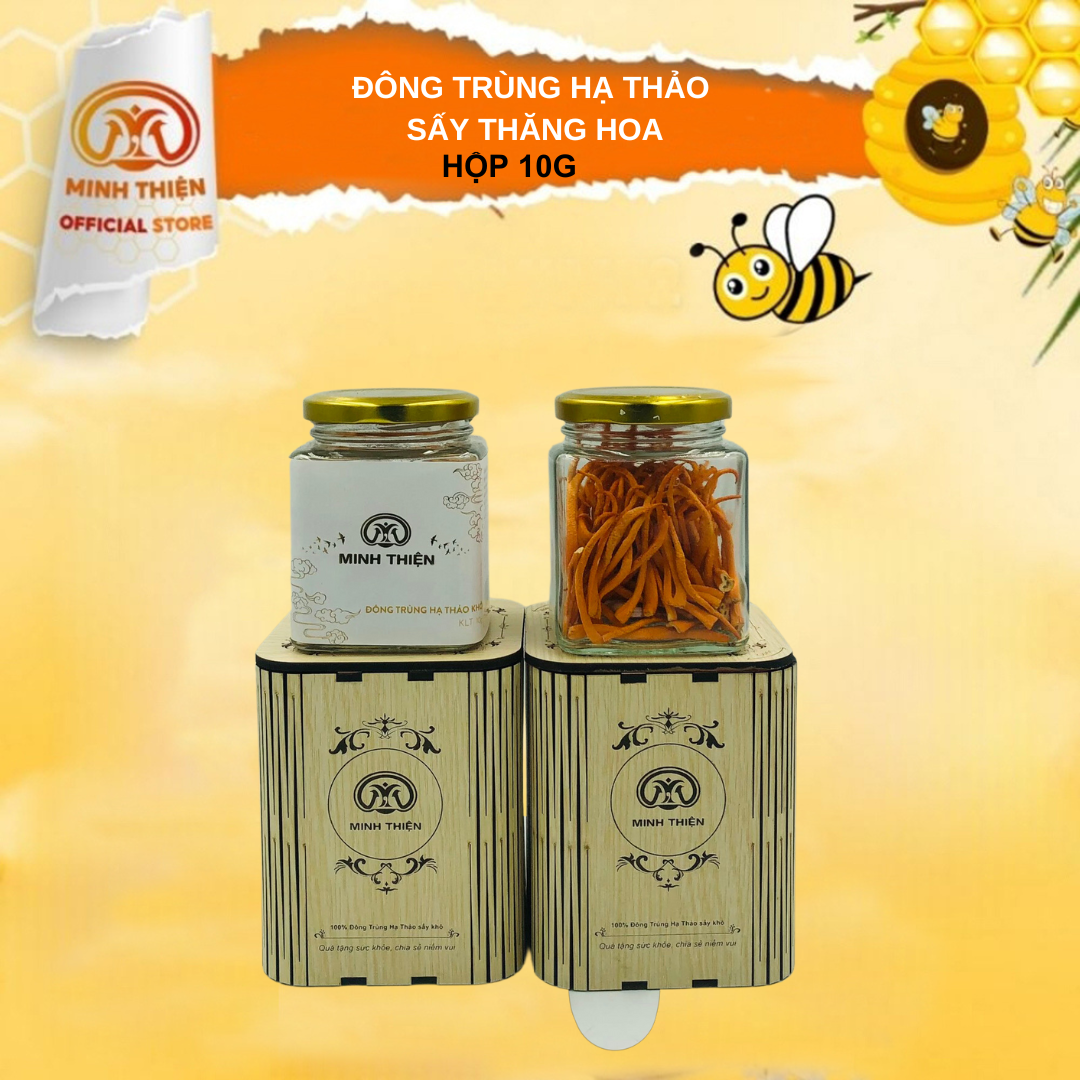 Đông trùng hạ thảo sấy thăng hoa 10g Minh Thiện