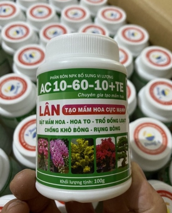 Phân bón npk 10-60-10 + te thúc bật mầm hoa siêu lân siêu vi lượng