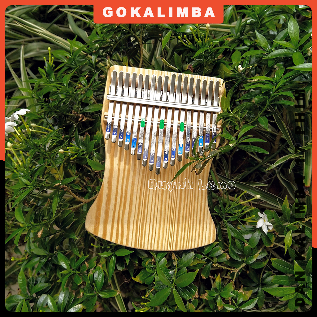 Kalimba 17 keys American pine unique shape Gokalimba gives full accessories