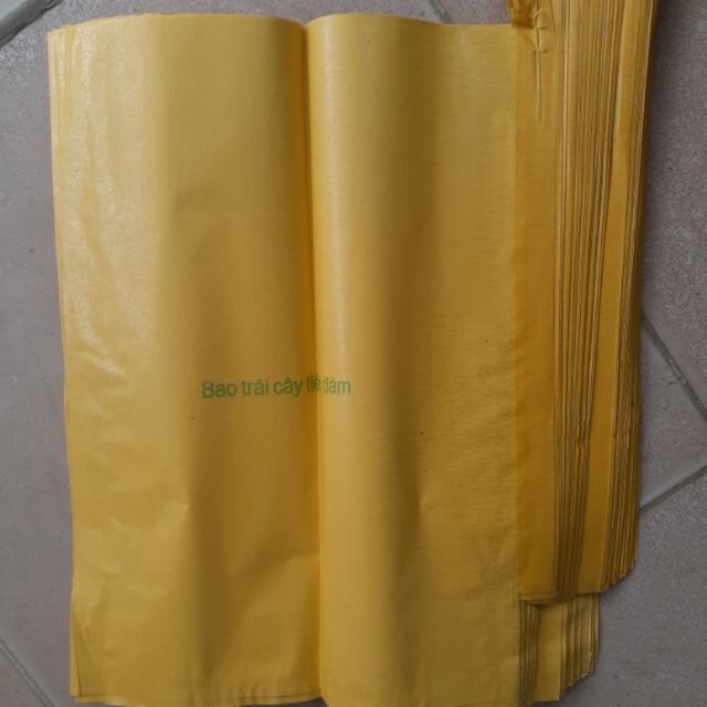 Túi bao trái 500 túi