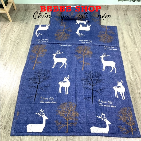 COMBO Siêu tiện lợi nệm ngủ văn phòng 1mx1m9 nhỏ gọn