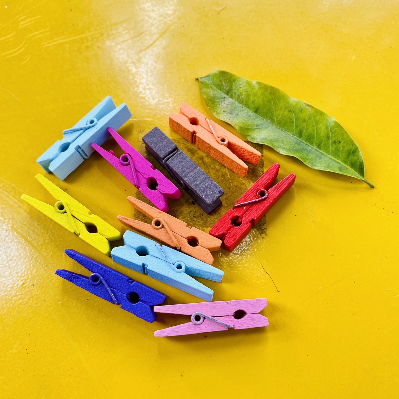 [HCM]10 Kẹp Gỗ Thông Nhiều Màu Hoặc Trơn Kt 3.5 x 0.7 Cm