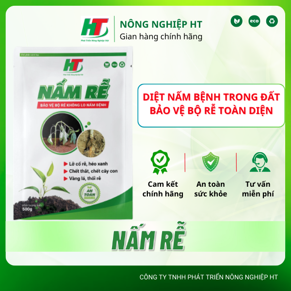 Nấm rễ – xử lý nấm bệnh trong đất