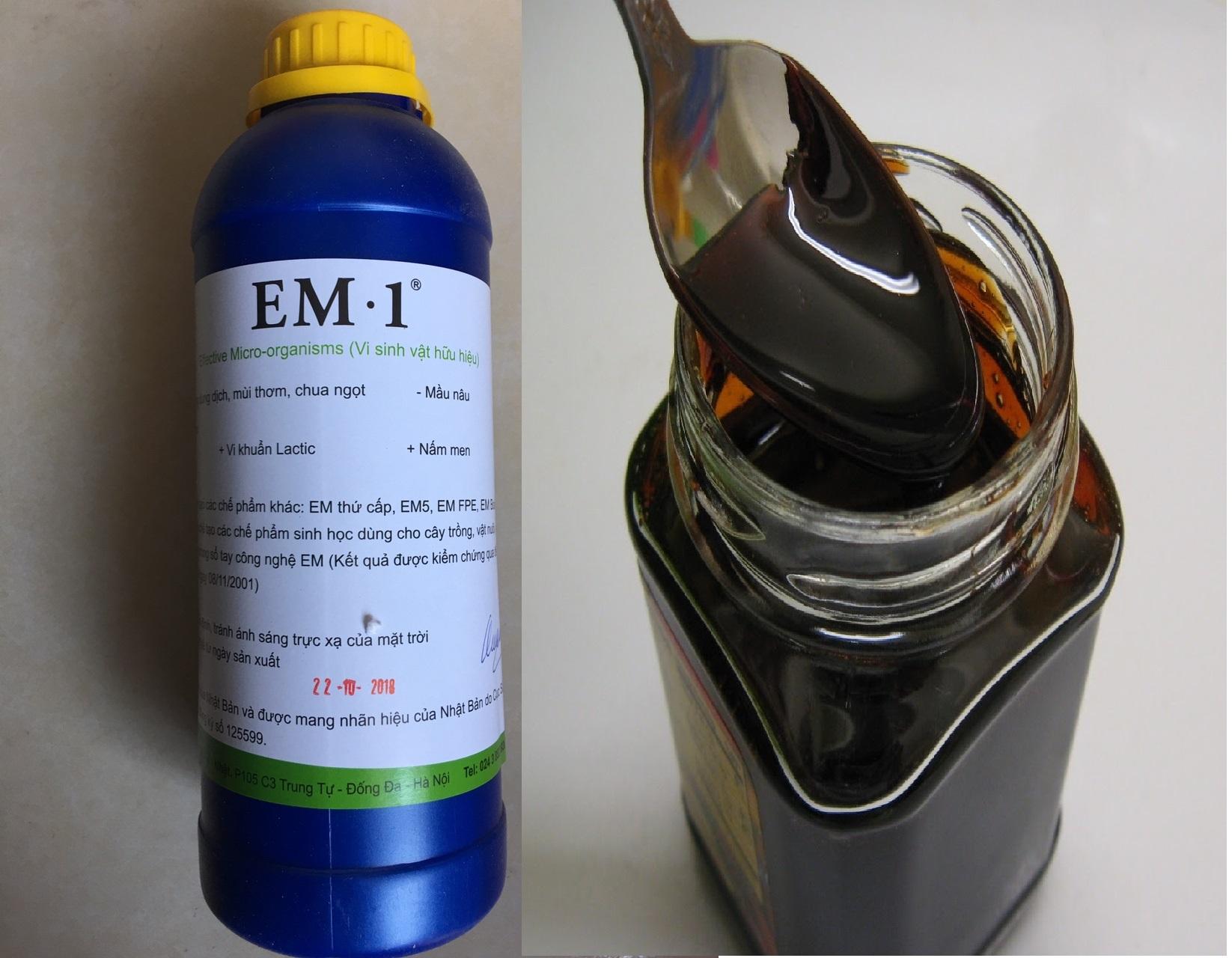 Combo chế phẩm EM gốc (EM1) EM gốc chai 1L và 1 lít rỉ mật đường thuận tiện cho tạo EM thứ cấp