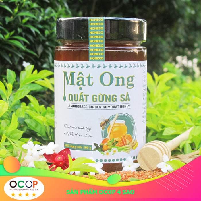 Mật ong quất gừng sả honeco tam đảo