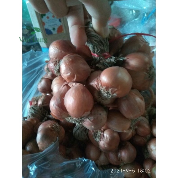 1kg hành ta khô chắc củ thơm để được lâu