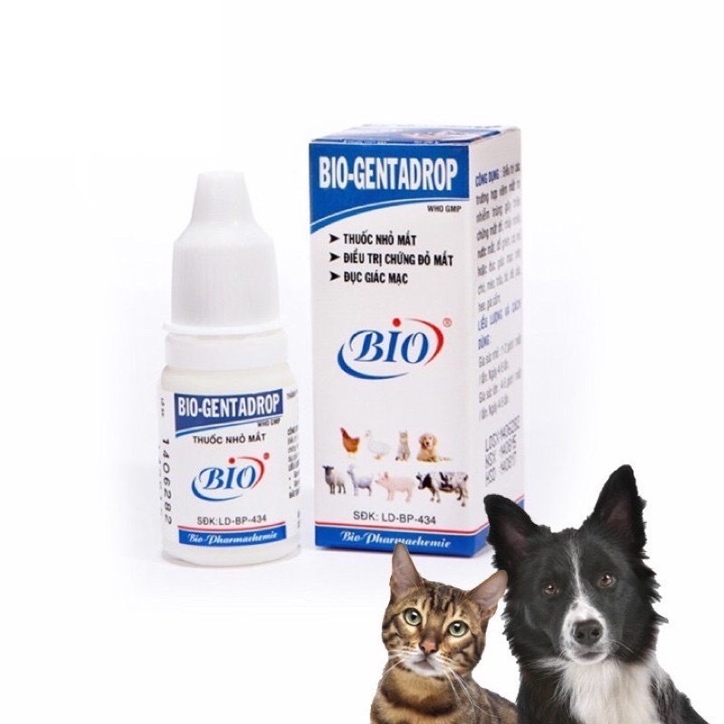 Nhỏ Mắt Bio Genta Cho Chó Mèo - Mixo Pet Town