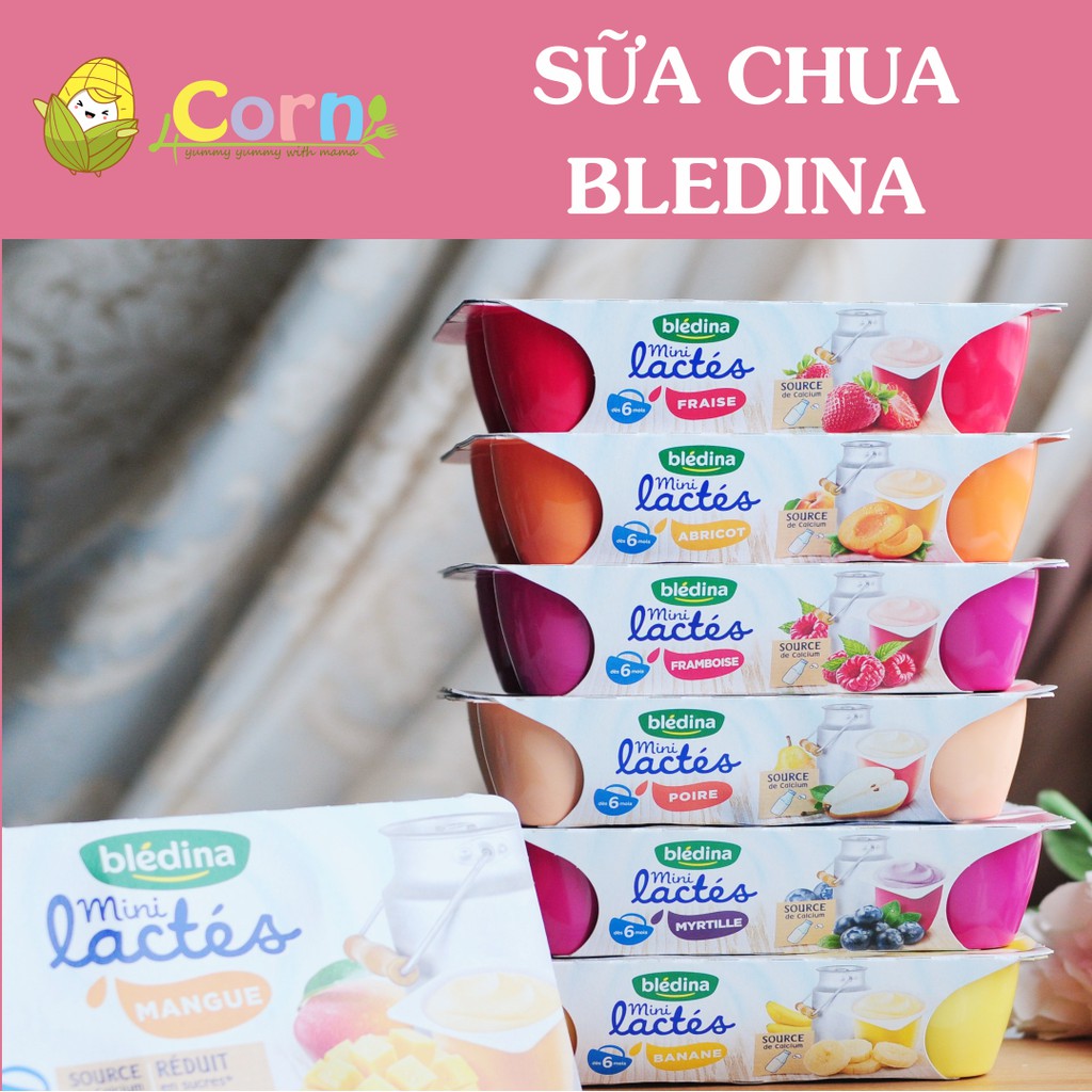 Sữa chua nguội Bledina - Cho bé 6m+