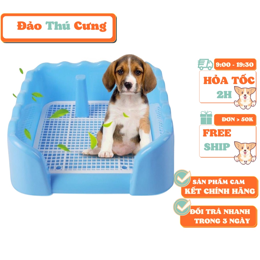 Khay vệ sinh cho chó - đảo thú cưng