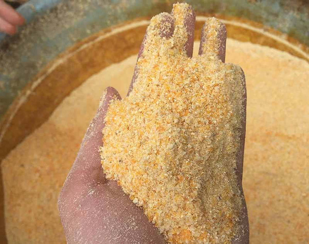 Bắp xay nhuyễn, Cám bắp bột xay, cám ngô xay nhuyễn làm thức ăn cho Chim, Gà con, Cá Con hoặc làm mồi câu cá