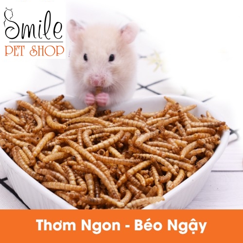 Thức ăn hamster - Sâu rang bơ siêu thơm ngon cho hamster - Smile pet shop