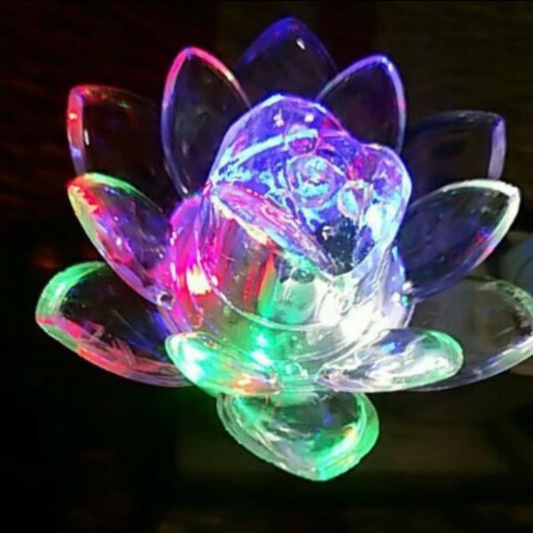 Bóng ngủ led nhiều màu hình bông sen