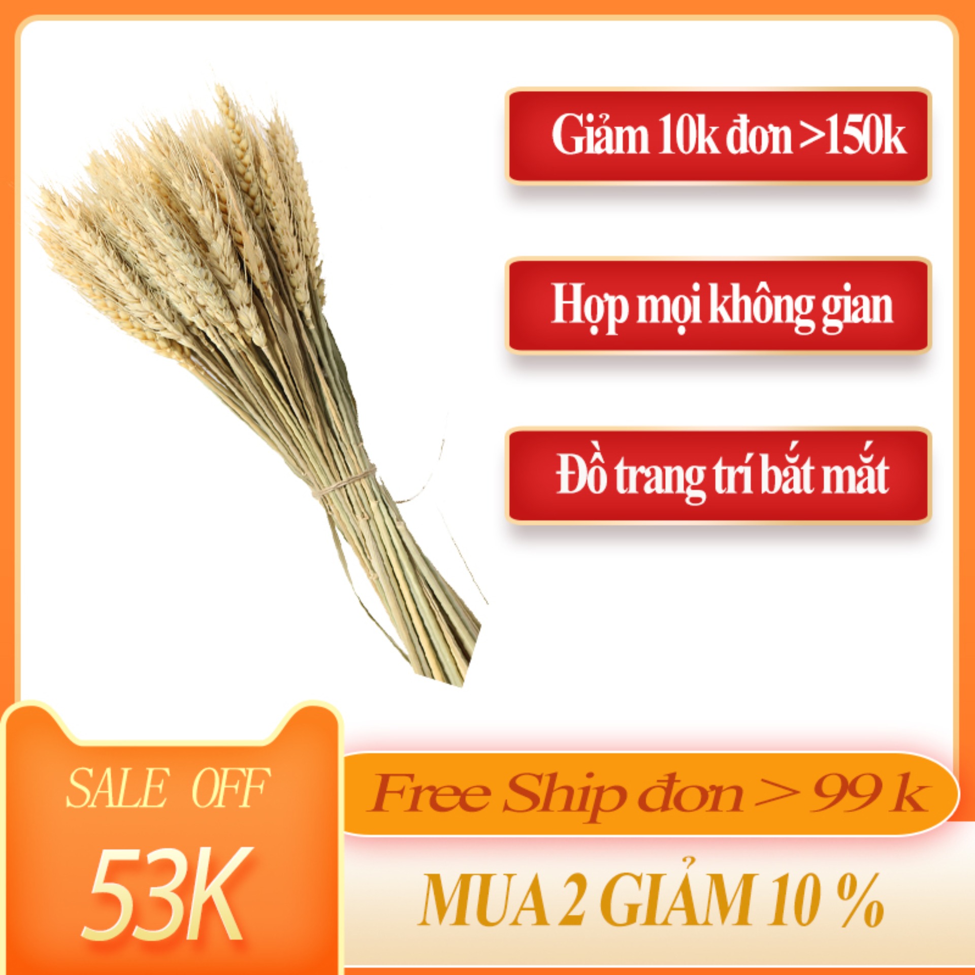 [HCM]Hoa khô lúa mì tự nhiên bó hoa lúa mạch trang trí vườn nhà đẹp chụp ảnh đạo cụ làm quà tặng