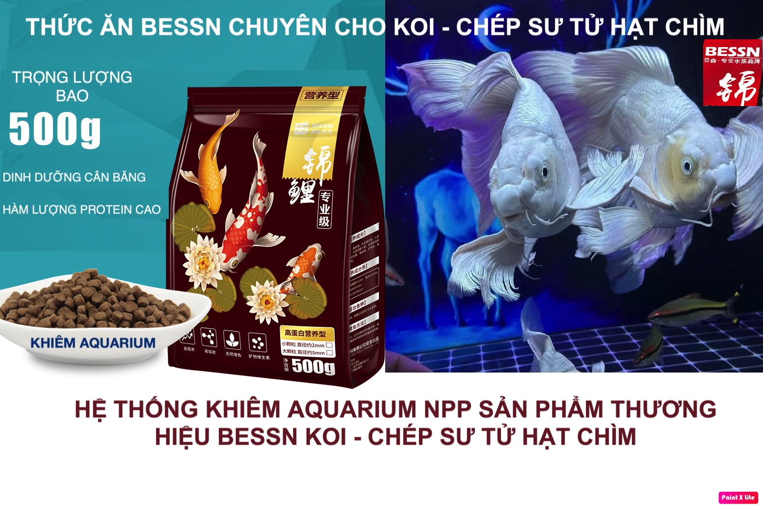 Thức ăn cá koi, koi bessn hi-growth thức ăn siêu tăng trưởng cho cá koi hạt chìm
