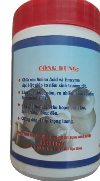 Làm ấm giống nấm rơm