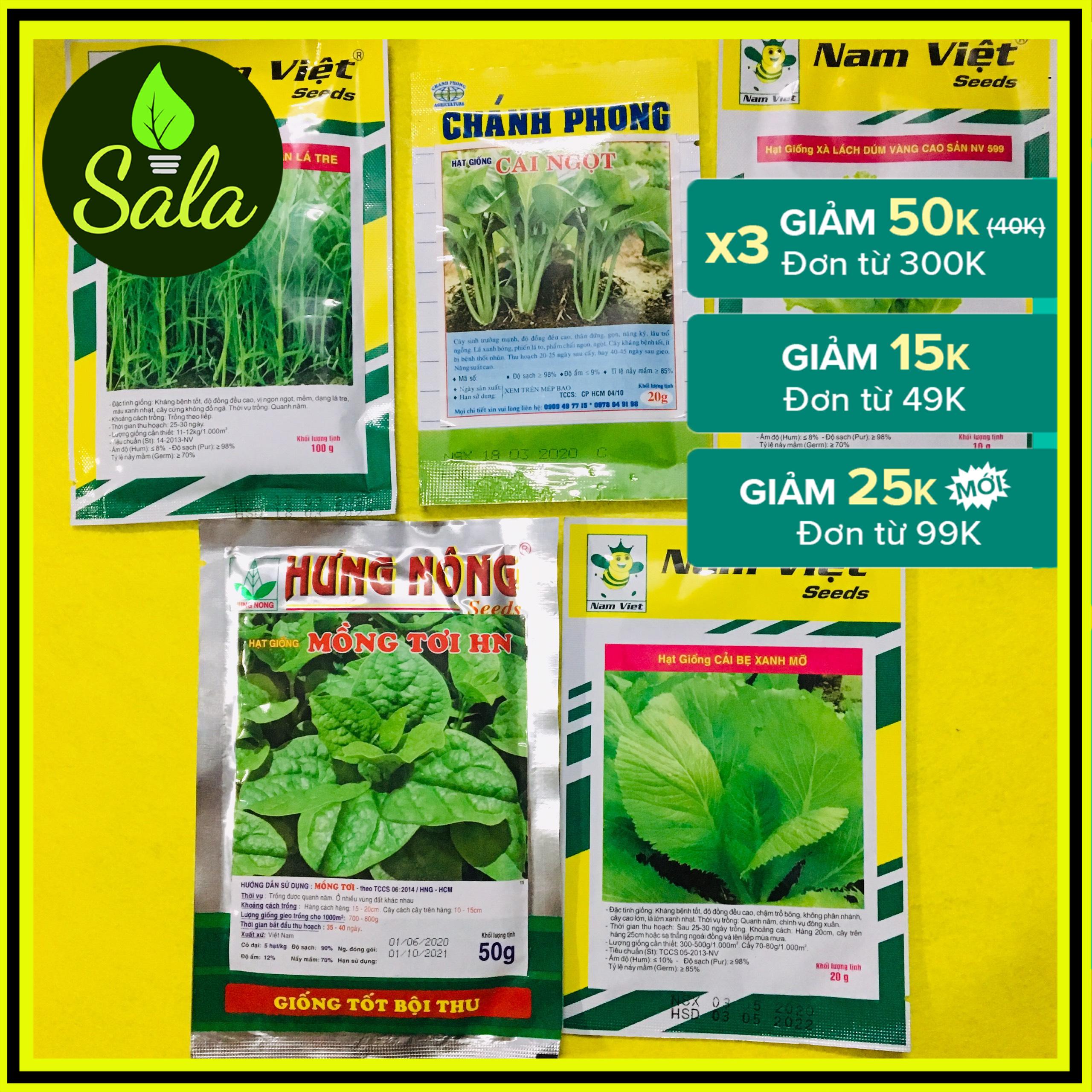 Combo 5 gói hạt giống rau ăn lá dễ trồng - Gồm 5 loại rau: Rau muống 50gr, cải bẹ xanh 20gr, cải ngọt 20gr, xà lách 10gr, cải ngồng 20gr