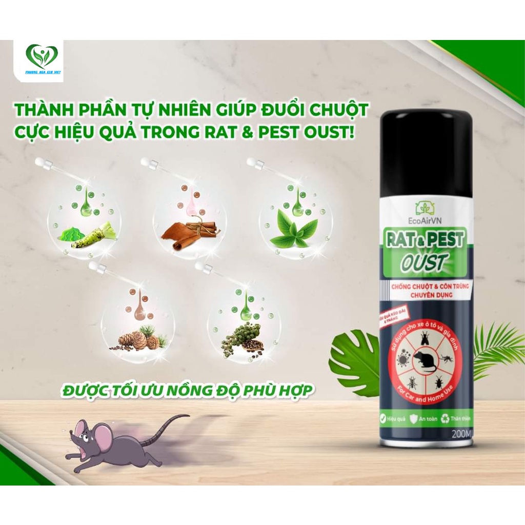 Xịt đuổi chuột - Đuổi chuột khỏi nhà