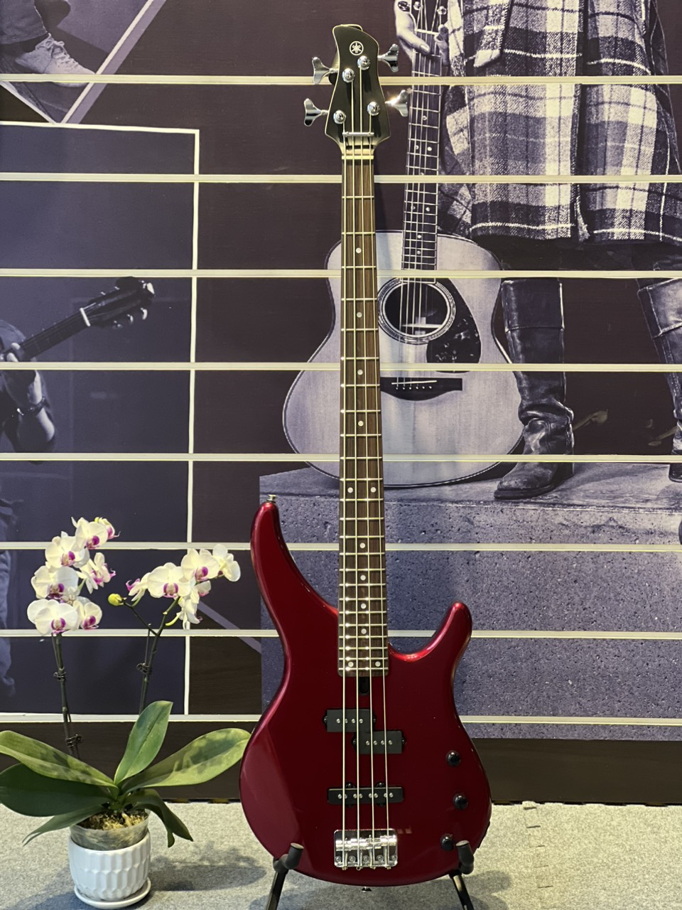 Đàn guitar bass TRBX174 chính hãngg Yamaha- Hàng nhập khẩu