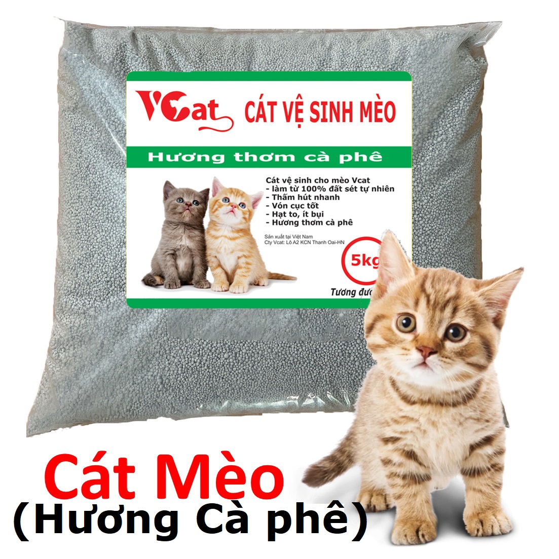 Orgo - VCAT CÁT VỆ SINH CHO MÈO (Bao lớn 10L=5kg) Cát Than hoạt tính khử mùi