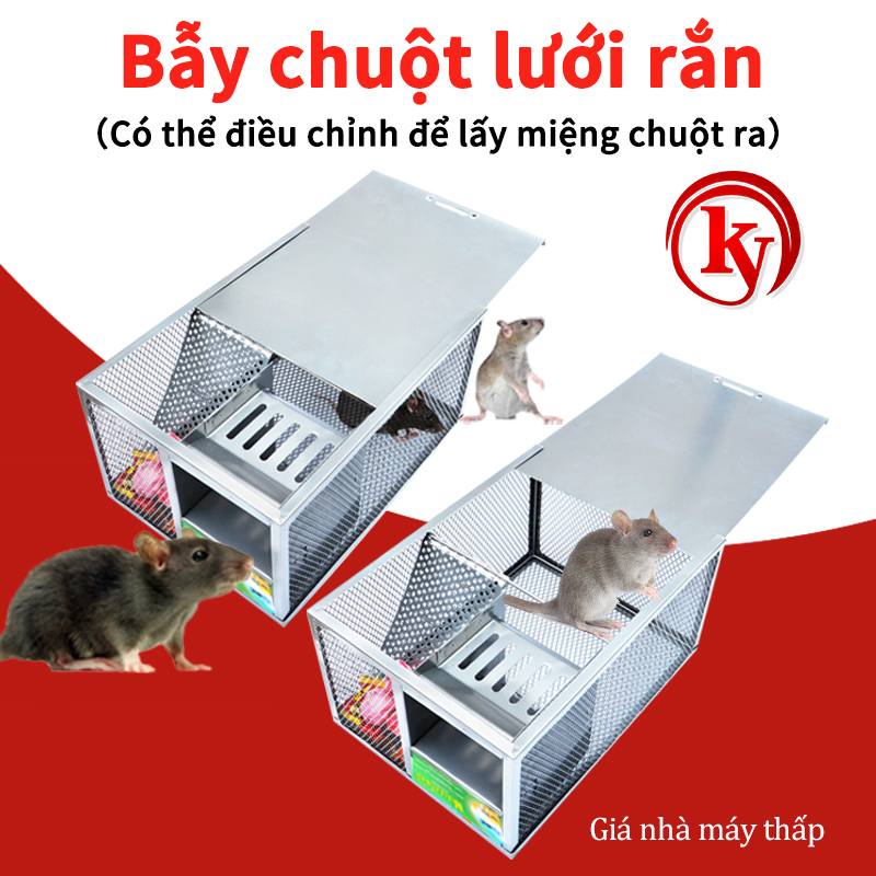 Bẫy Chuột Kích Thước Lớn Bắt Liên Tục Bền Và Có Thể Tái Sử Dụng Lồng Chuột Kiểm Soát Dịch Hại Trực Tiếp