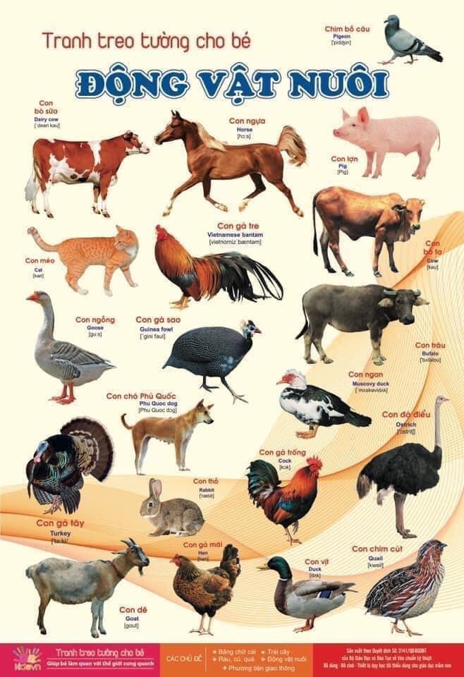 Tranh treo tường 12 chủ đề cho bé khám phá thế giới xung quanh, bộ tranh treo tường 12 chủ đề cho bé yêu