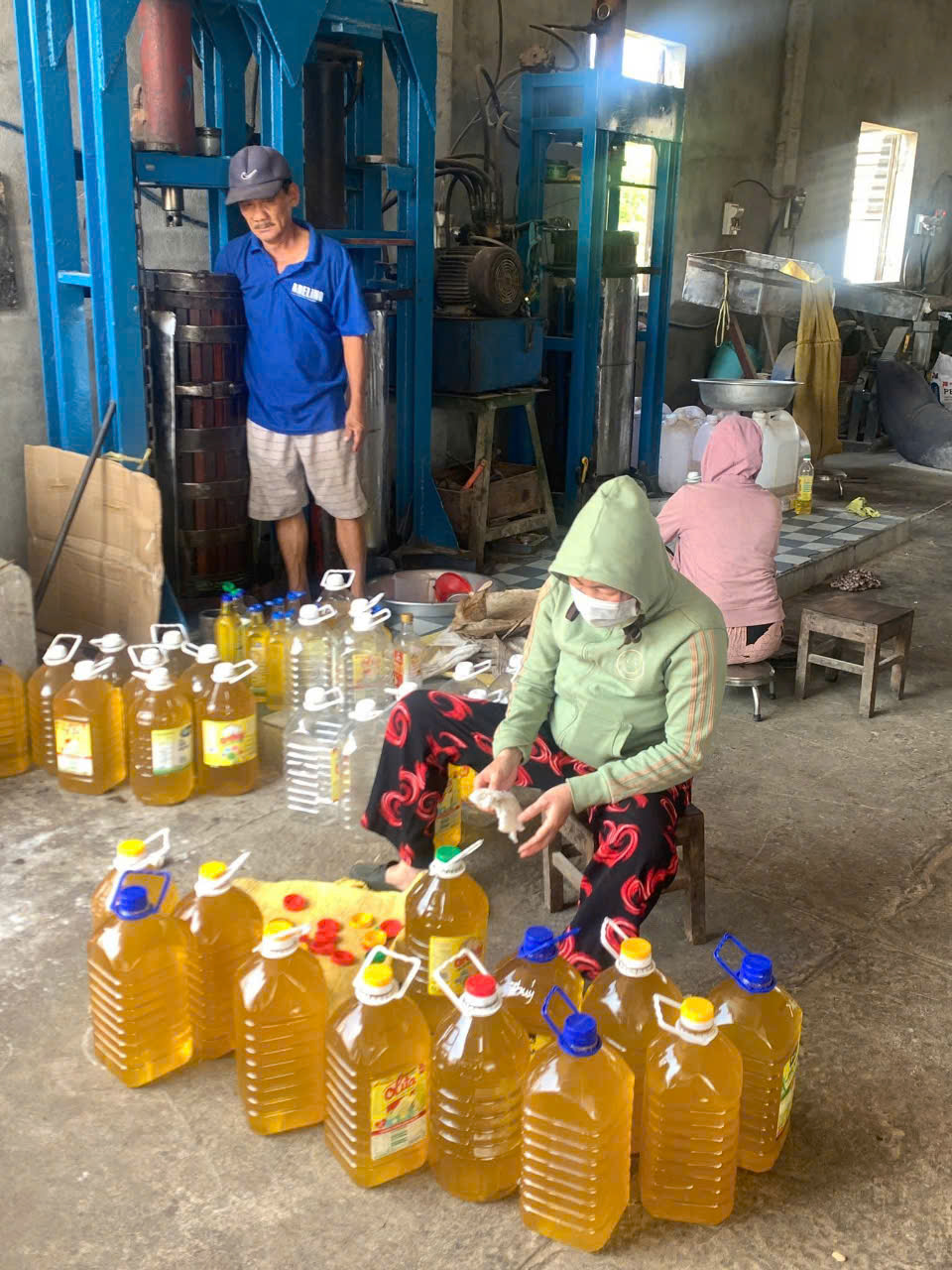 Dầu đậu phộng ép nguyên chất tại xưởng